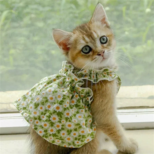 🌸👗 Summer Cotton Cat Dress – Cute & Comfy for Pets!