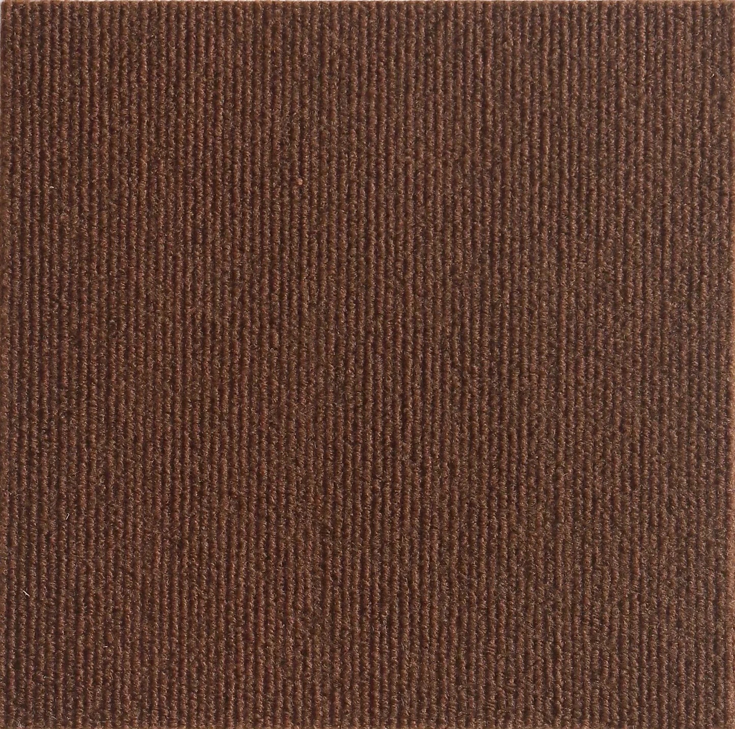 🐱🛋️ Self-Adhesive Cat Scratch Mat – Protect Your Furniture!