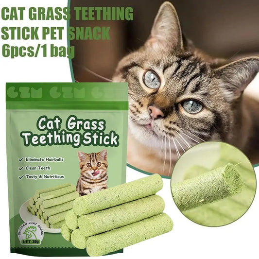 🌿🐱 6-Pack Cat Grass Sticks – Natural Teeth Grinding & Hairball Control for Kittens! 🐾✨