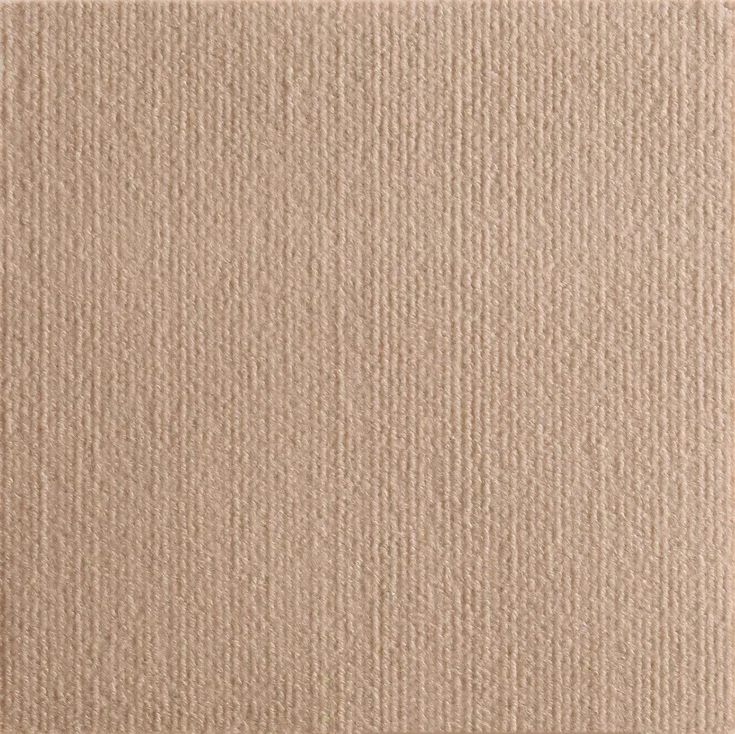 🐱🛋️ Self-Adhesive Cat Scratch Mat – Protect Your Furniture!