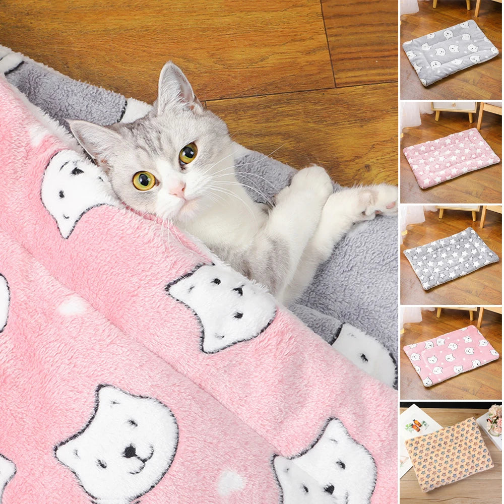 🛏️🐶 All-Season Warm Pet Bed – Soft & Thick Cushion!