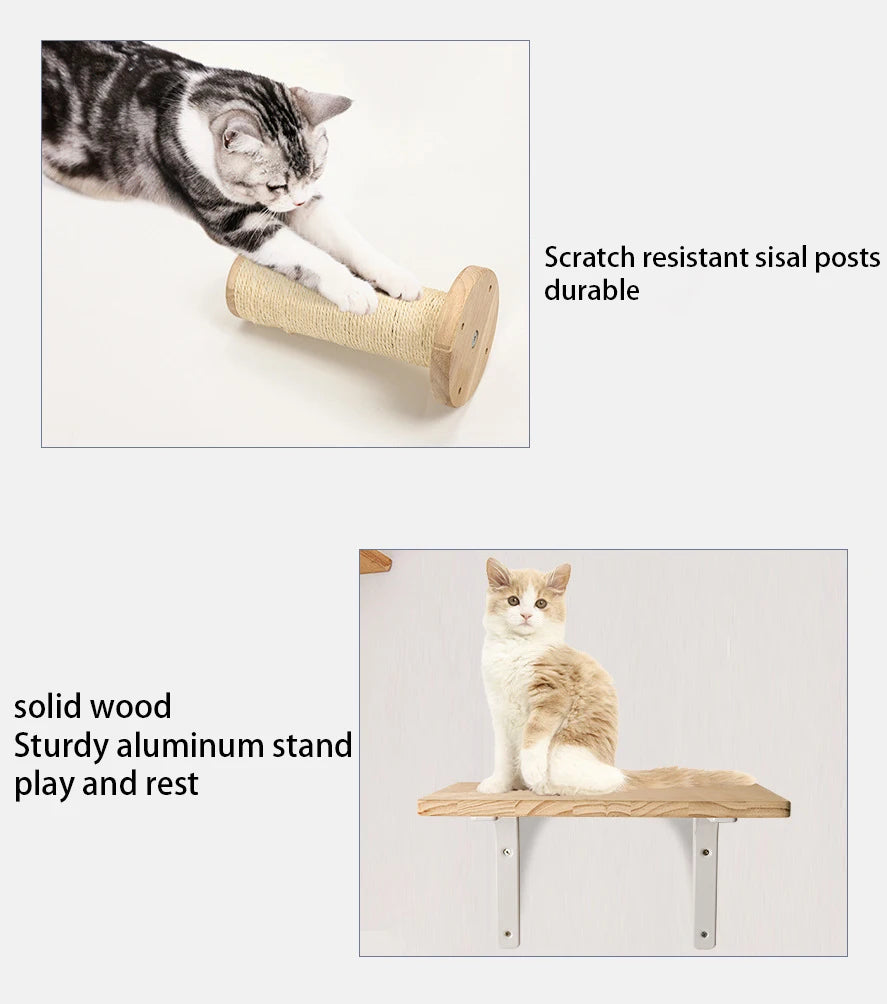 🐱🧗 Wall Cat Tree – Shelf, Hammock & Climbing Post!