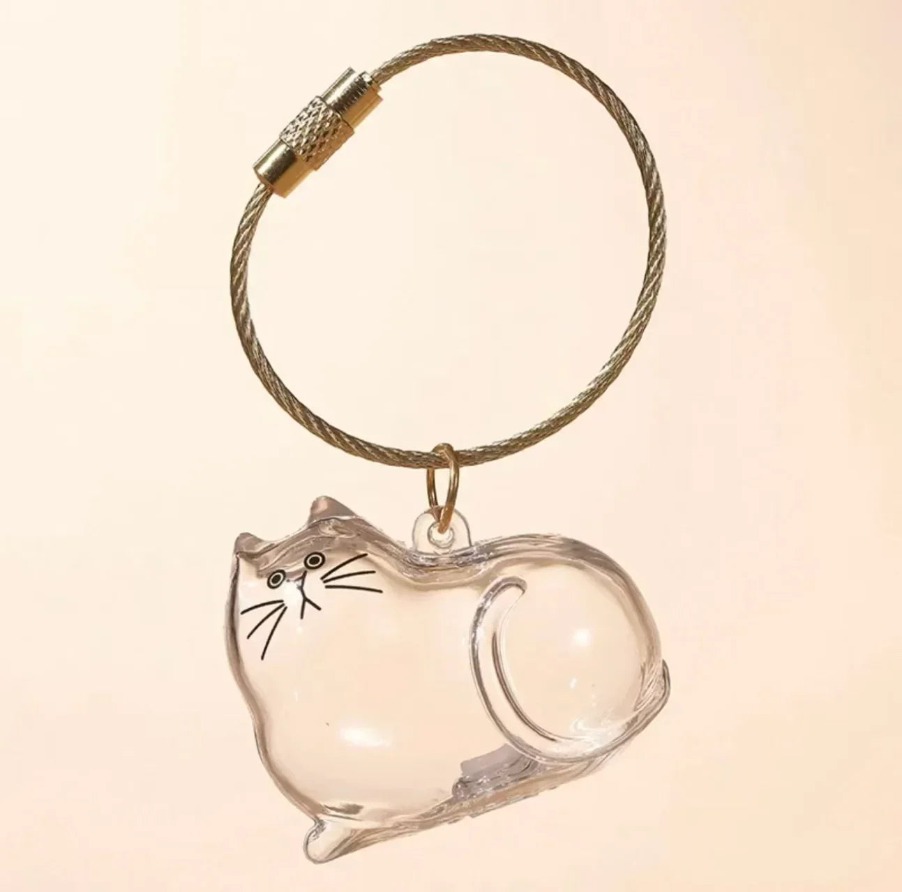 Transparent Cat Hair Keepsake Charm