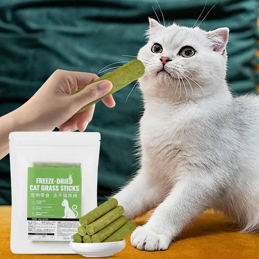 🌿🐱 Cat Grass Chew Sticks – 8 Tasty, Freeze-Dried Treats for Clean Teeth & Happy Cats! 🦷🍃🐾