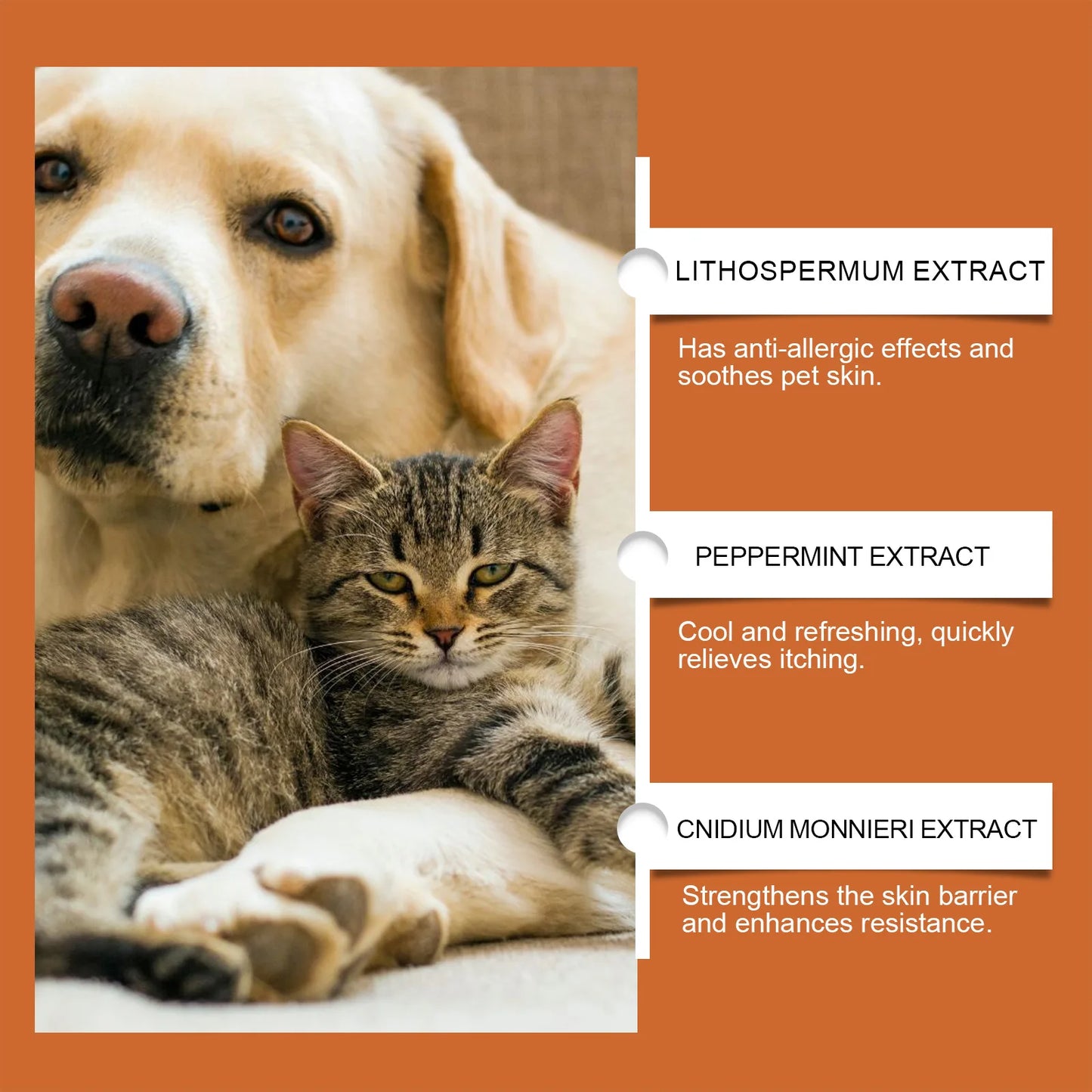 🌿🐱 Pet Skin Care Cream – Itch Relief & Ringworm Treatment!