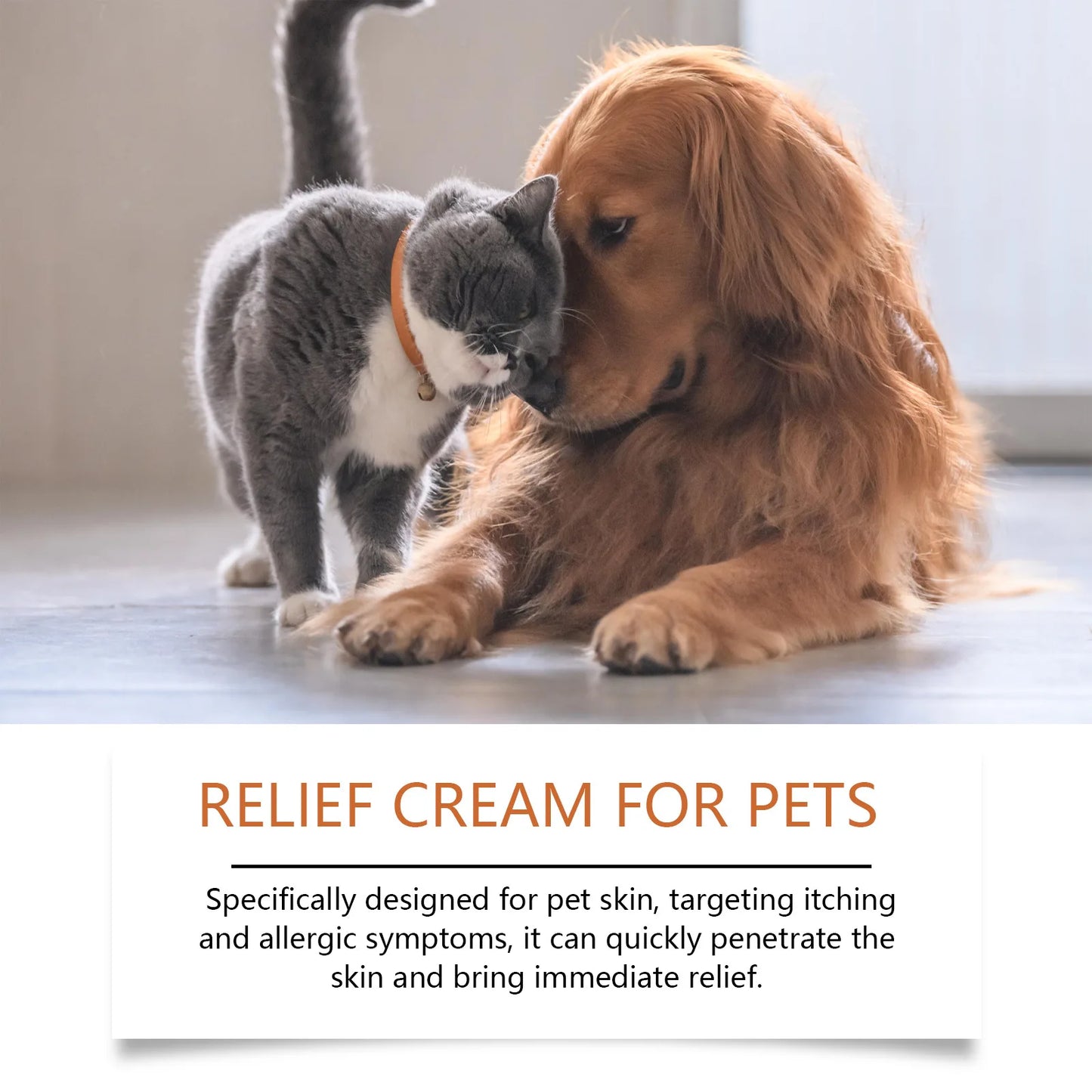 🌿🐱 Pet Skin Care Cream – Itch Relief & Ringworm Treatment!