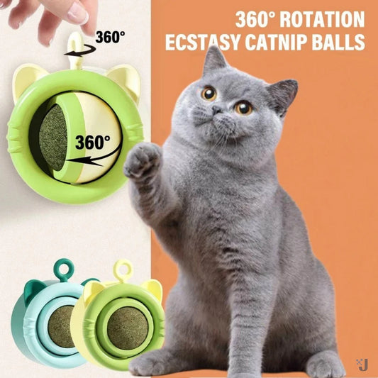 🐾🌿 Natural Catnip Wall Ball Toy – Healthy Treat & Snack for Cats, Aids Digestion 😺💚