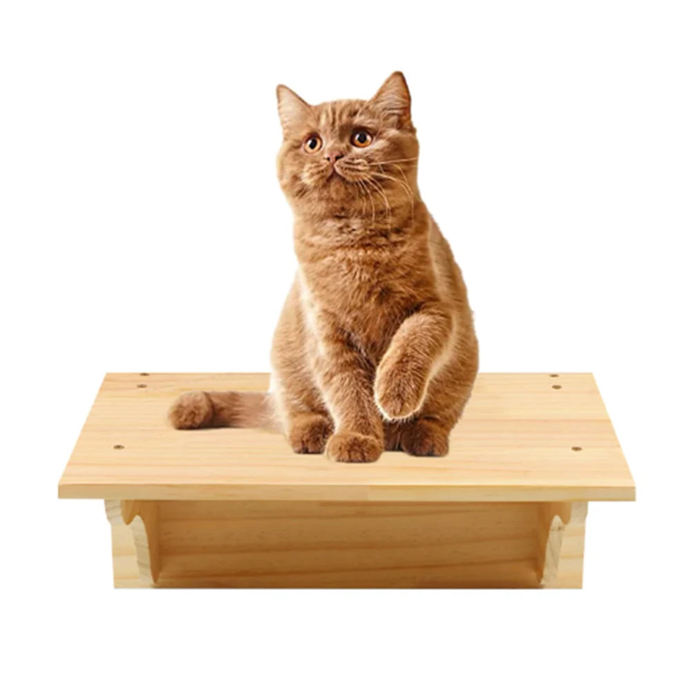 🐱🧗 Wall Cat Tree – Shelf, Hammock & Climbing Post!