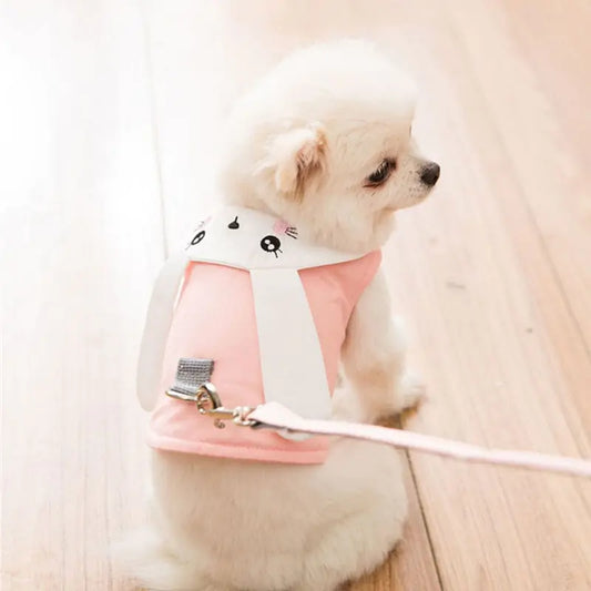 Pet Harness and Leash for Small Dogs and Cats